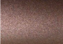 Dark Bronze